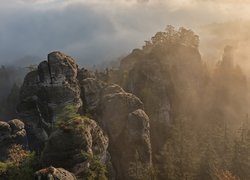 Formacje skalne, Hruboskalsko, Skały, Drzewa, Mgła, Czeski Raj, Góry Stołowe, Czechy