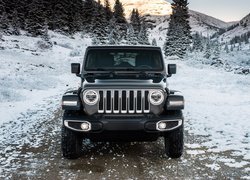 Jeep Wrangler Unlimited Sahara, 2018, Przód