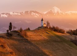Kościół św Primusa i Felicjana, Wzgórze, Mgła, Góry, Drzewa, Jesień, Wieś Jamnik, Słowenia