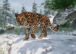 Lampart amurski, Gra, Planet Zoo