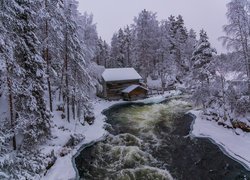 Zima, Młyn Myllykoski, Rzeka, Drzewa, Park Narodowy Oulanka, Gmina Kuusamo, Laponia, Finlandia